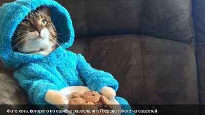 Мариничев: Два способа спрятать информацию и кот в пижаме 