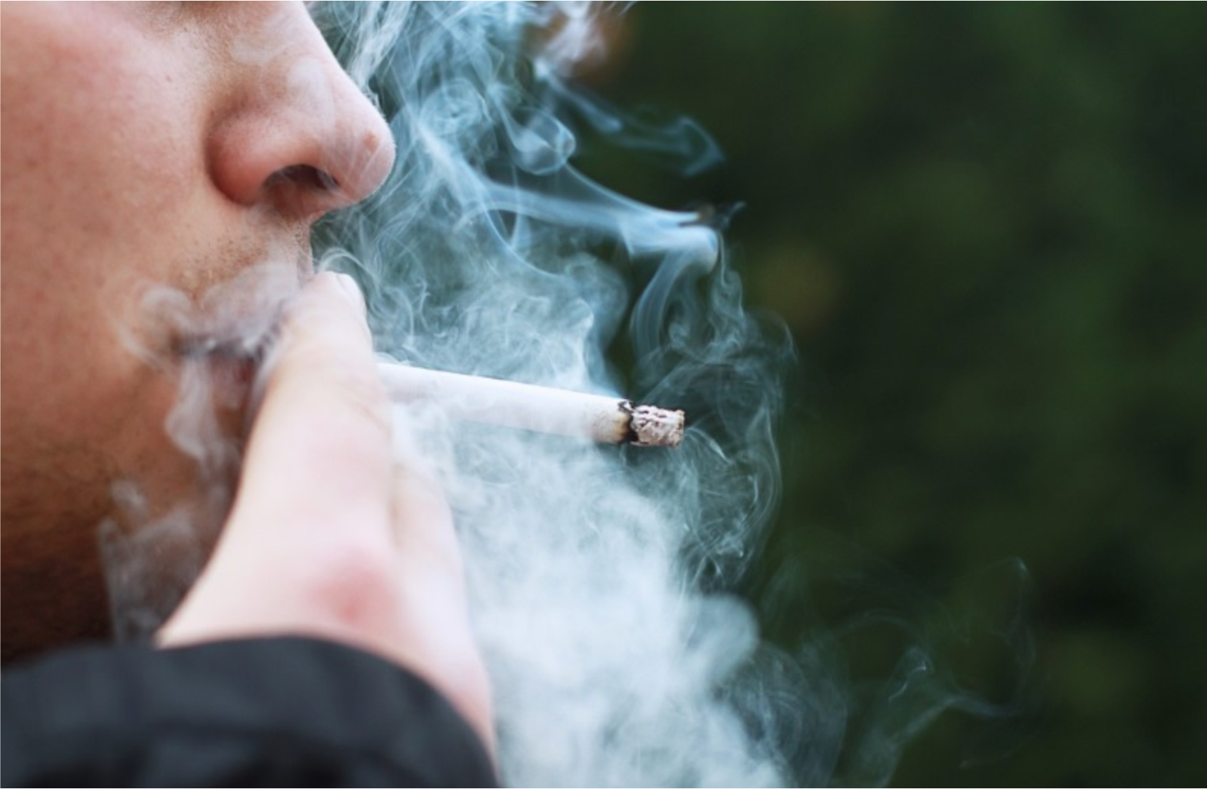 Мариничев о новых требованиях к сигаретам: борьба сомнительная